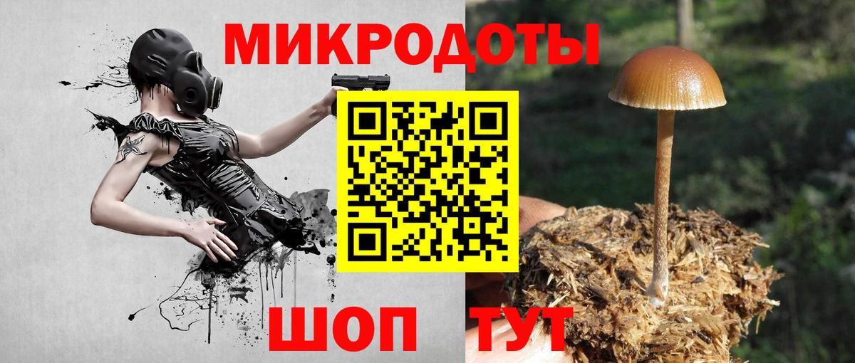 как найти наркотики  Галлюциногенные грибы Psilocybe  Вход с VPN  Шатура 