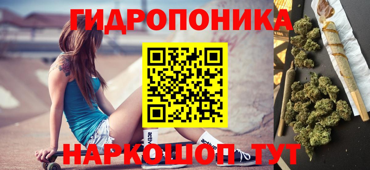 Марихуана сатива Шатура